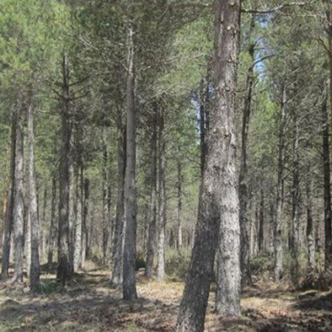 Empresa de energías renovables Valladolid