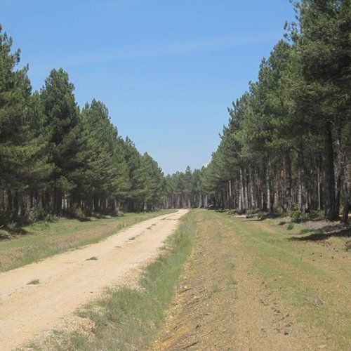 Arreglo de caminos