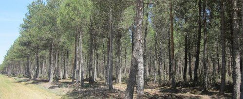 Empresa de energías renovables Valladolid