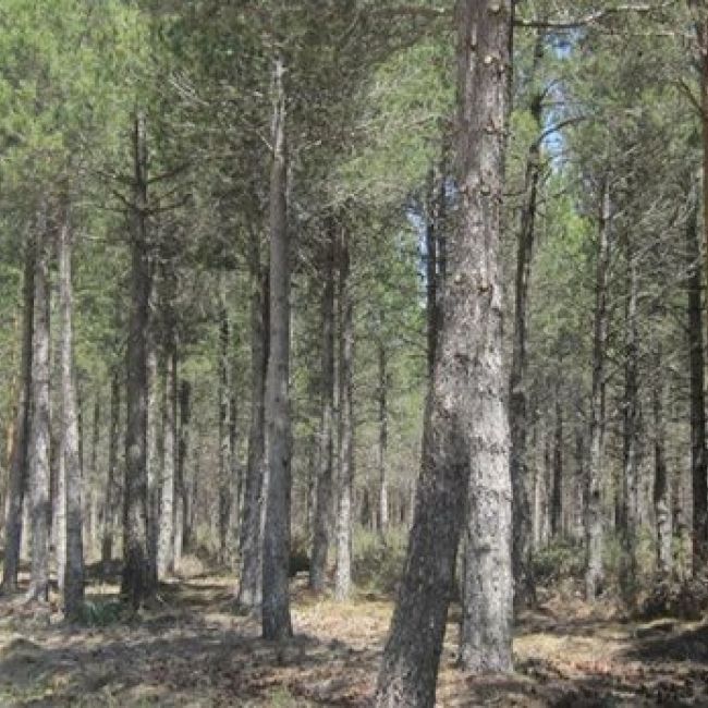 Empresa de energías renovables Valladolid