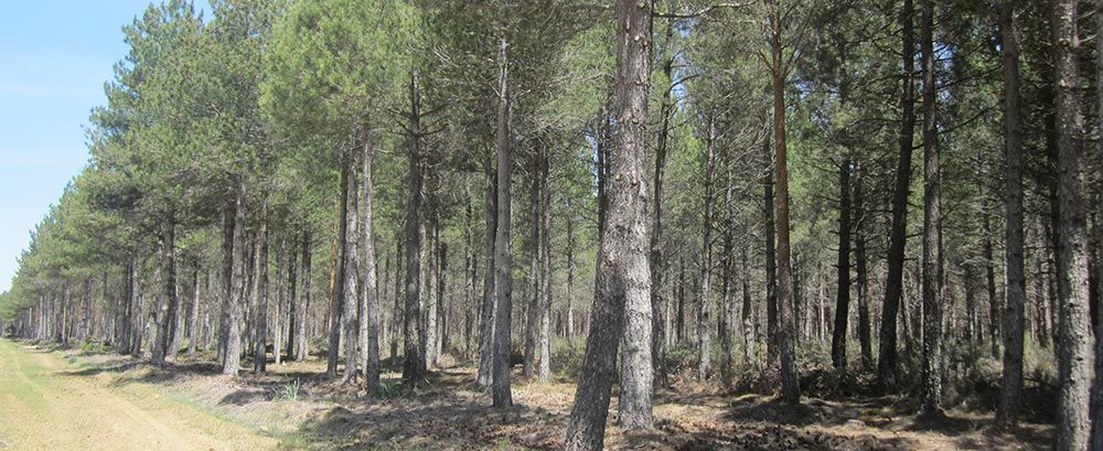 Empresa de energías renovables Valladolid 